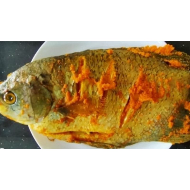 Jual Ikan Gurame Segar Bumbu Kuning Siap Masak Bukan Frozen Shopee
