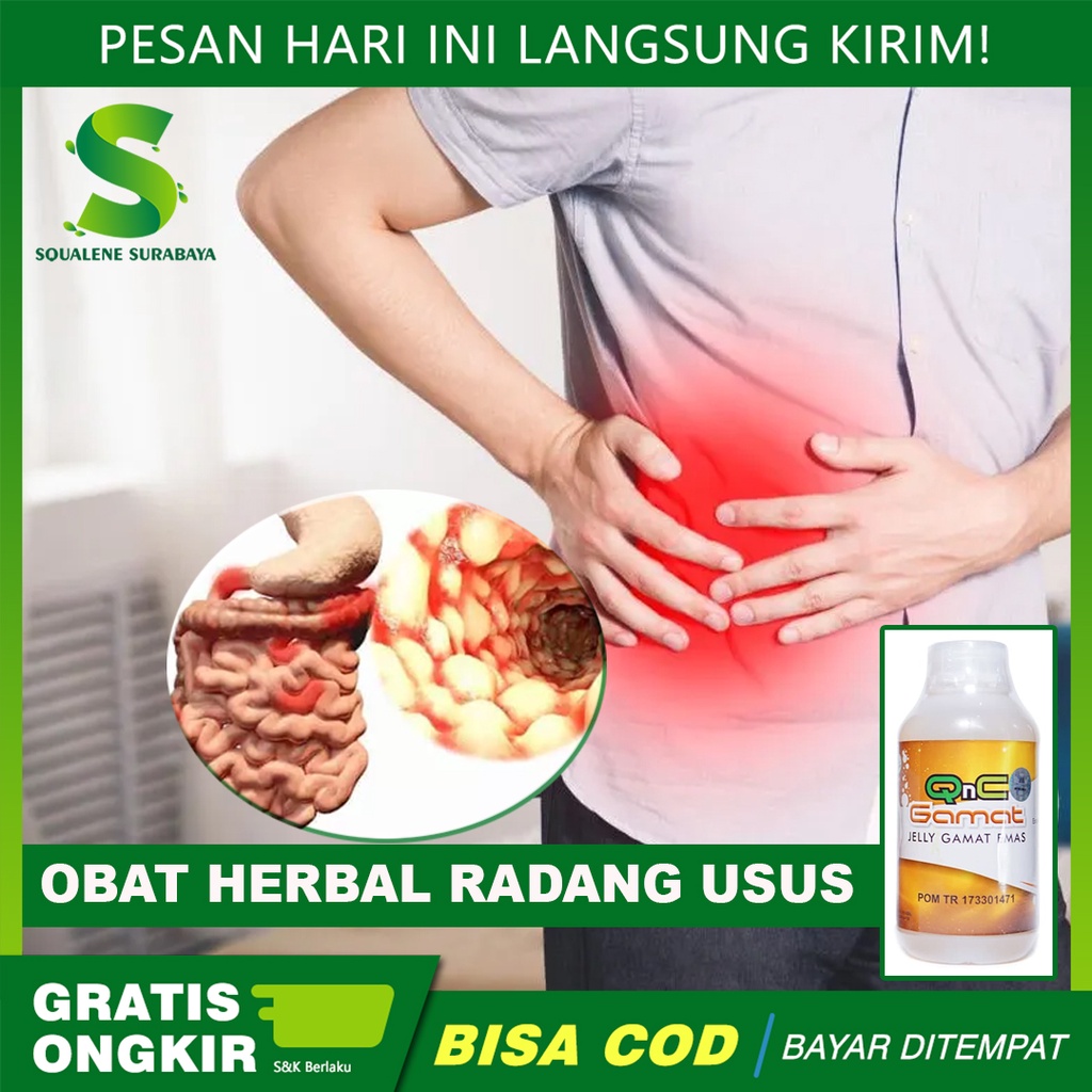 QnC Jelly Gamat ASLI - Obat Radang Usus - Obat Usus Buntu - Radang Usus Buntu - Usus Buntu Pecah - U
