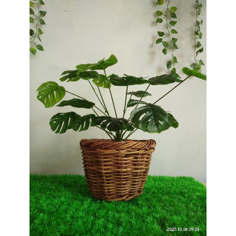 pot rotan besar