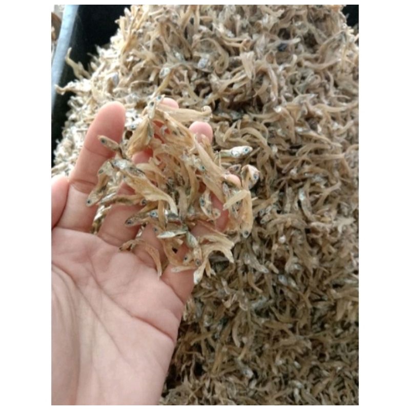 

Teri Asin Kering 100gram