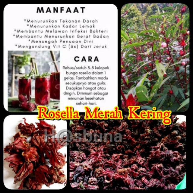 

Grad-A TEH ROSELLA MERAH (Bunga Rosella Merah Kering)