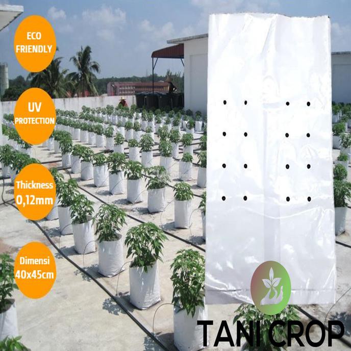 Buruan Serbu] Plastik Polibag Polybag Putih 40X45Cm 25 Lembar/Pack Premium