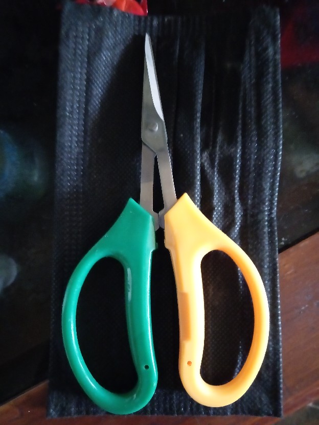 Gunting Bonsai Pruning Daun Akar 2 Warna Murah