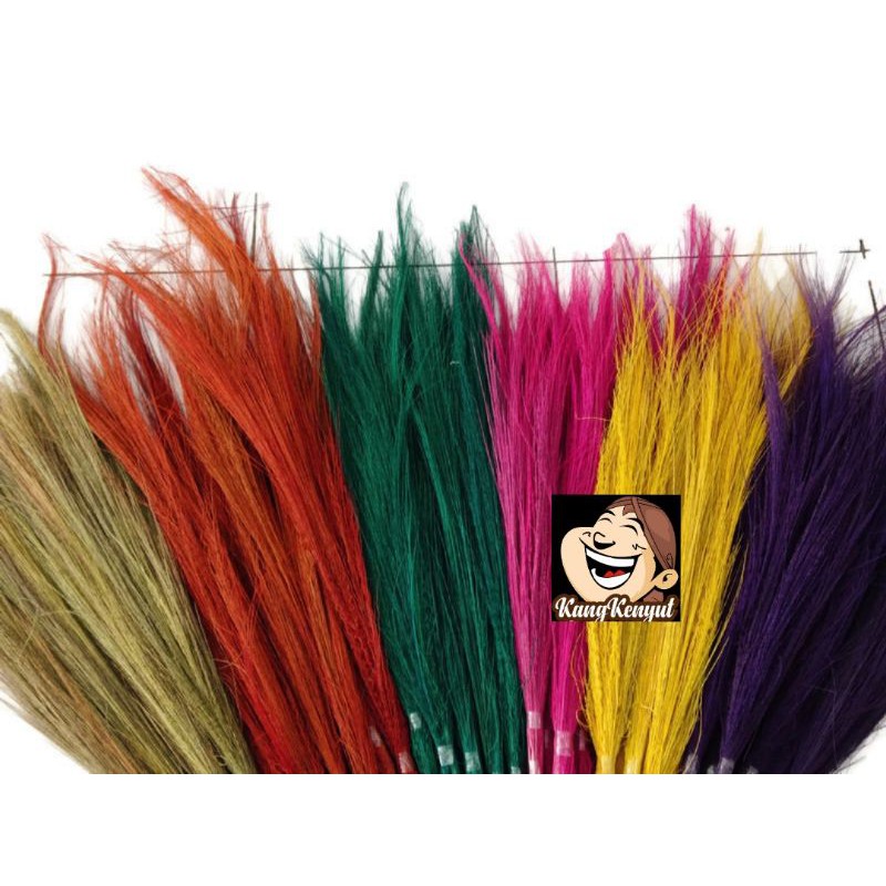 Rayung stik warna/pampas lokal home decor 1 ikat