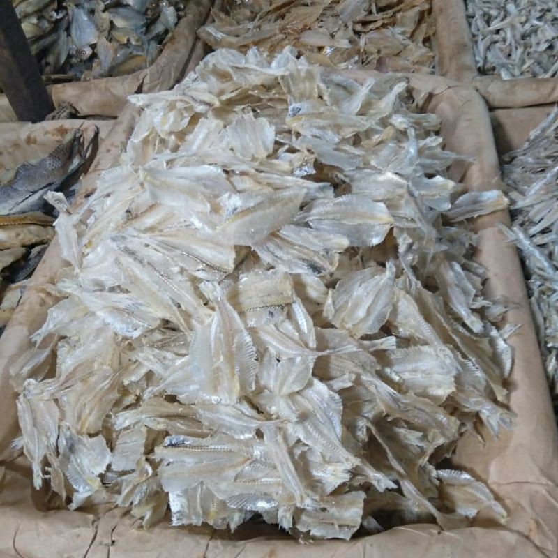 

Ikan Asin Pakkang 1/4kg (250g)