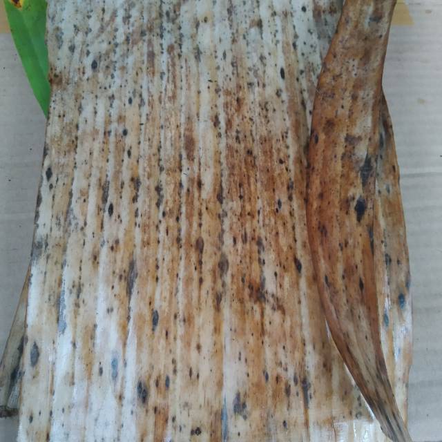 

Daun pisang kering atau MUSA PARADISIACA siap rebus