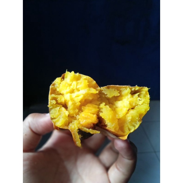 Ubi cilembu matang