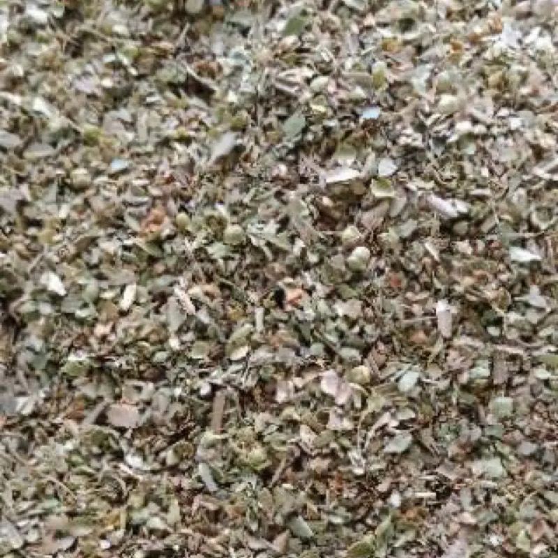 

bumbu kering italia oregano thyme