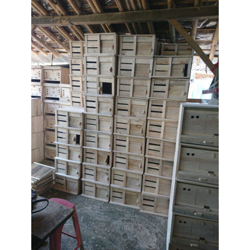 gupon merpati / kandang merpati