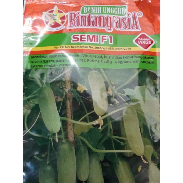 

benihtimunbebybintangasiasemif1benihtimunf1tahanvirusbijian