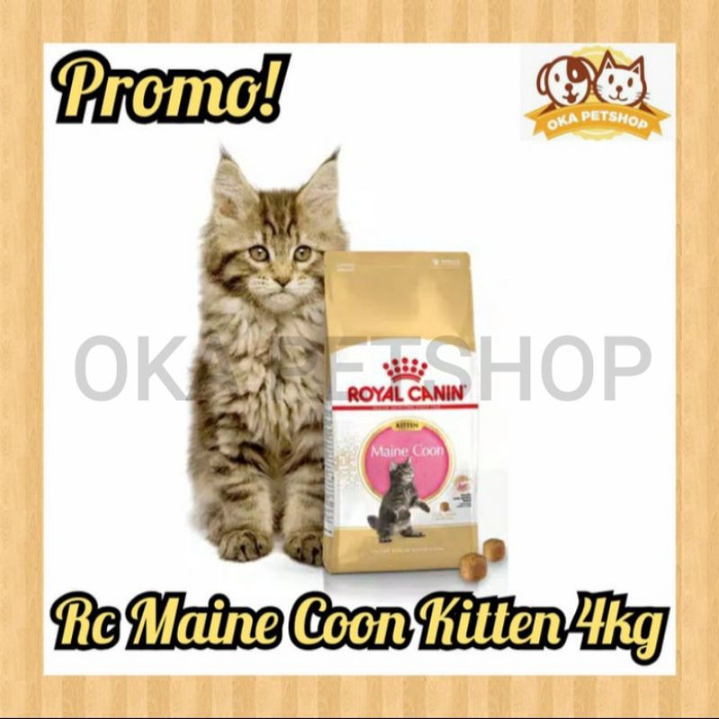 Royal Canin Maine Coon Kitten 4kg - Makanan Kucing Royal Canin Maine Coon Kitten