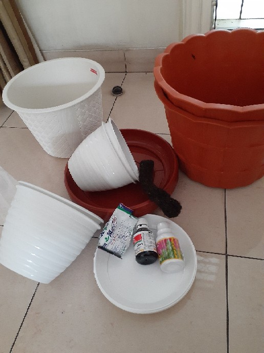 Insektisida Dursban 200 Ec 100 Ml
