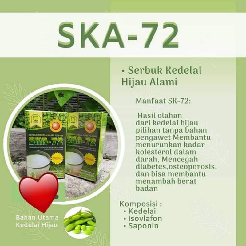 

SKAO SERBUK KEDELAI ORGANIK ALAMI ORGANIK NASA MAKASSAR