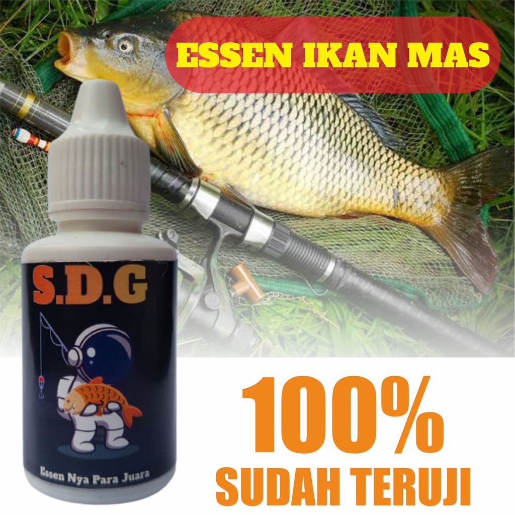 Essen ikan mas paling gacor (S.D.G), Essen ikan mas paling bagus, Essen ikan mas Babon, Essen ikan m