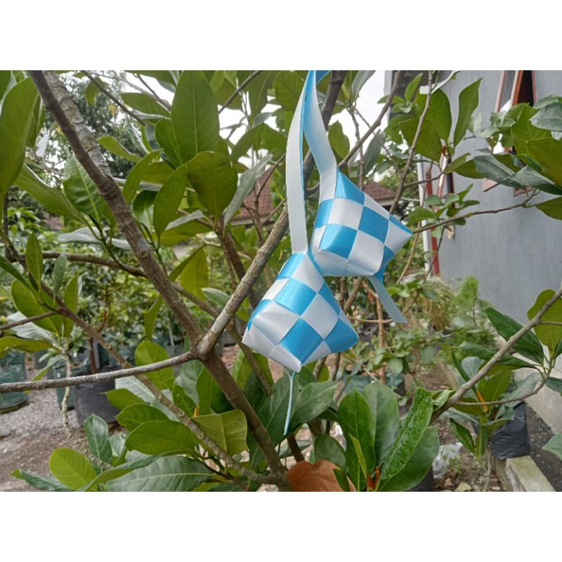 

Pita Ketupat