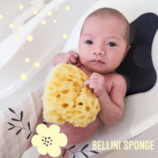 Bellini Sea Sponge / spons mandi bayi