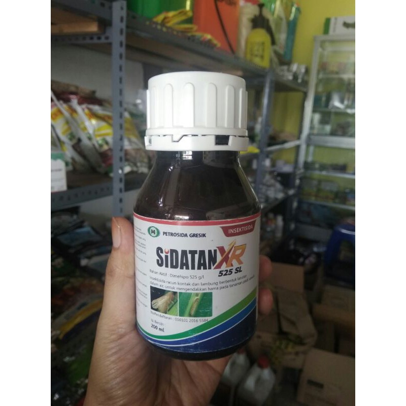 SIDATAN XR 525 SL 200ML // OBAT SUNDEP SIDATAN  // SIDATAN XR 200 ML
