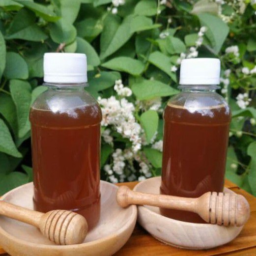 

Madu Asli Klanceng 225gr Untuk Kesehatan