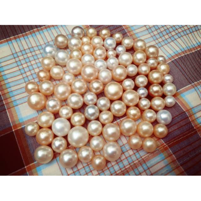 Mutiara air laut ASLI