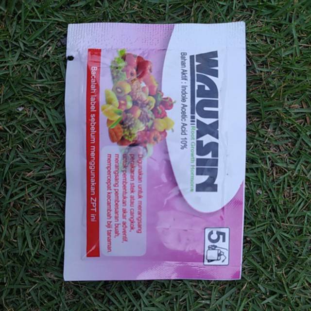 wauxin 5g kemasan besar