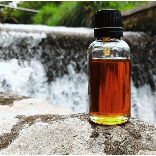 Jual RED GINGER ESSENTIAL OIL Minyak Atsiri Jahe Merah Murni Shopee