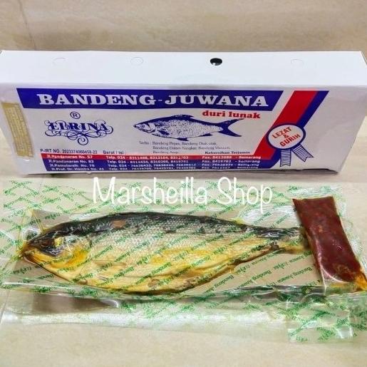

vaargavaldian5678 Bandeng Presto Duri Lunak Juwana ELRINA Vacuum Kering TERLARIS TERPERCAYA ORIGINAL