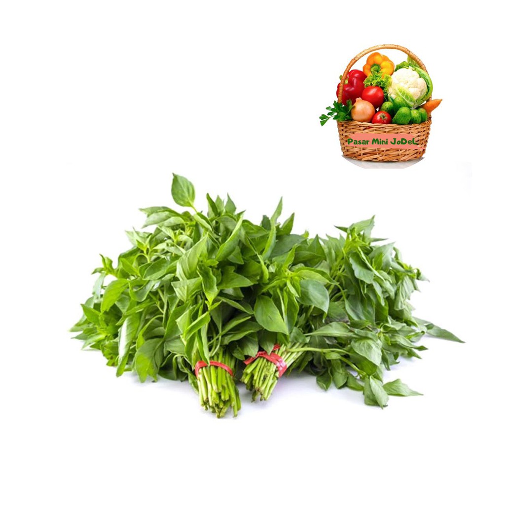 

PASAR ONLINE MURAH - DAUN KEMANGI 1 IKAT