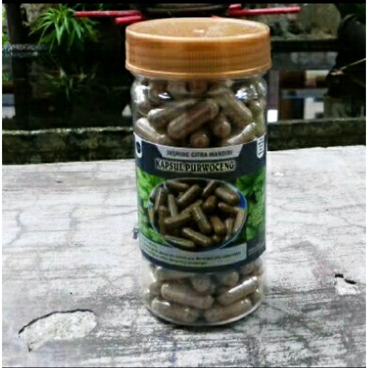 Kapsul Purwoceng