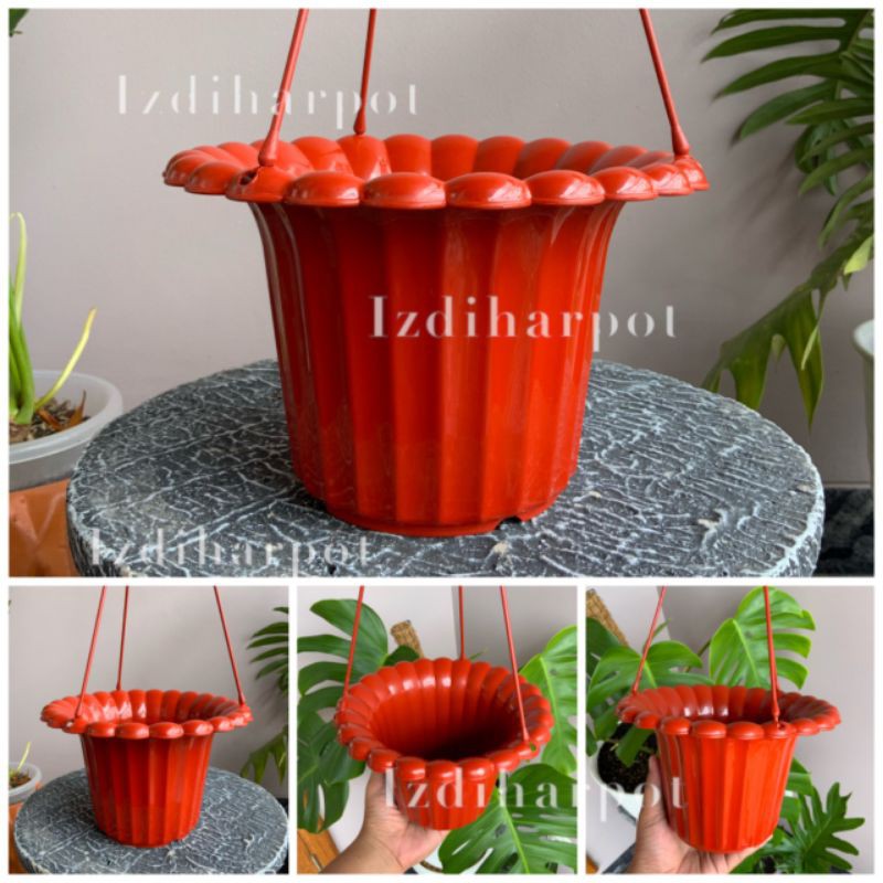 pot bunga tanaman gantung mawar merah bata 20cm - original