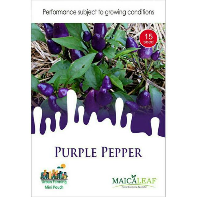 Benih Cabe UNGU 1pack Bibit Cabe