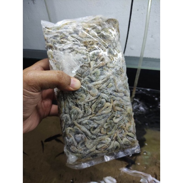 

udang Beku 500gr