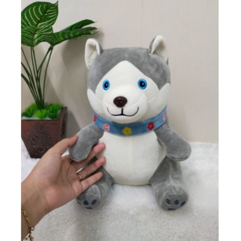 Boneka Dog Husy/Boneka Cute Dog/Boneka Animal