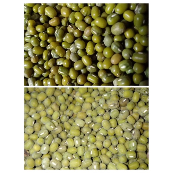 

Kacang Hijau Butek / Bening 500gr