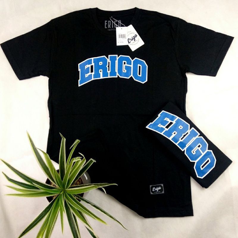 KAOS -KAOS ERIGO - KAOS BRAND ERIGO - CLOTHING - KAOS - COD -  SIAP KIRIM