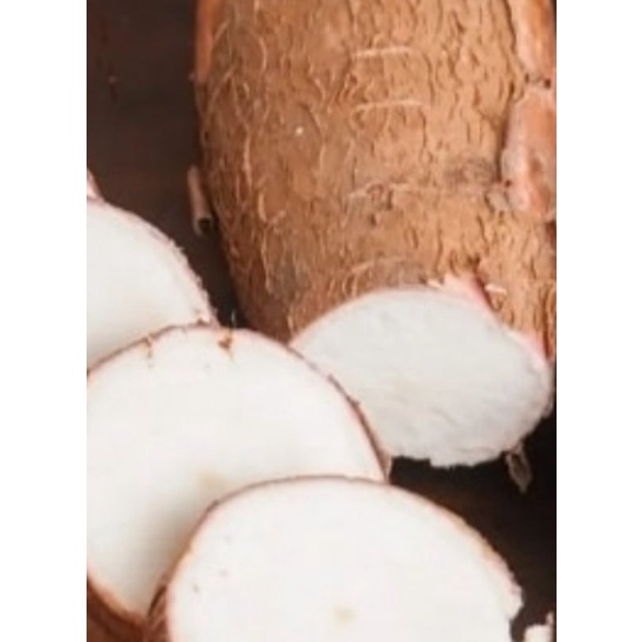 

SINGKONG 1KG/SINGKONG FRESH 1KG