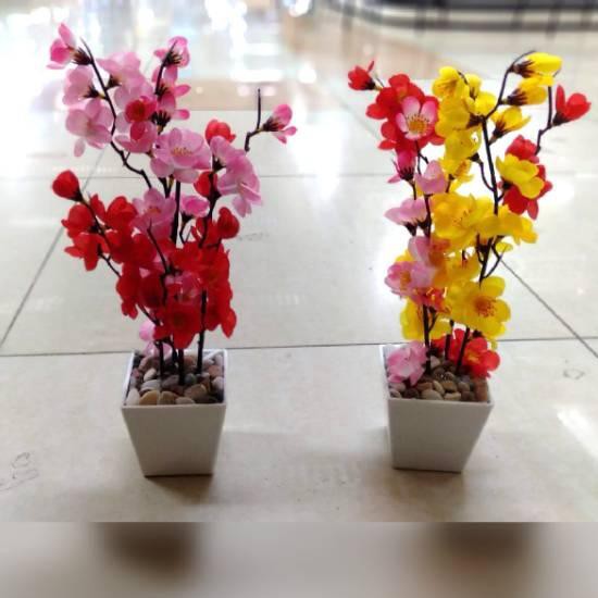 

♂ Pohon imlek meihua angpao 30 cm murah sakura ➧