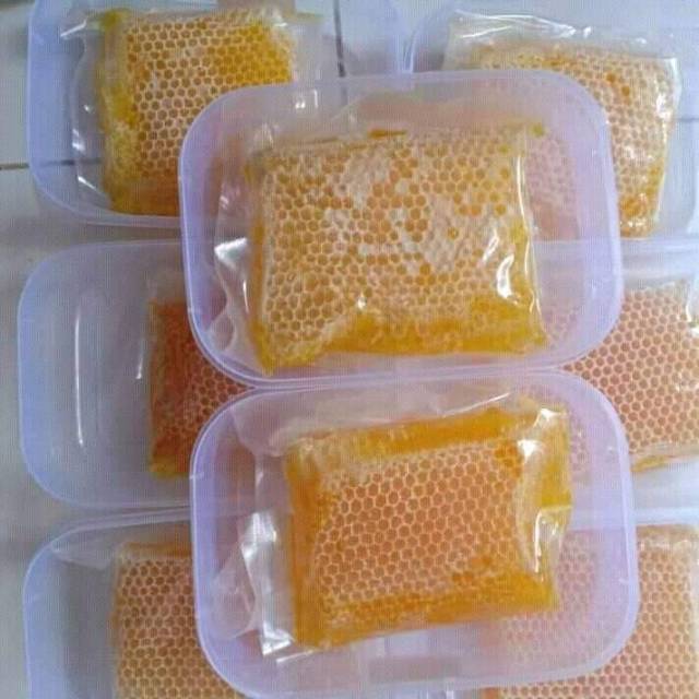 

sarang madu