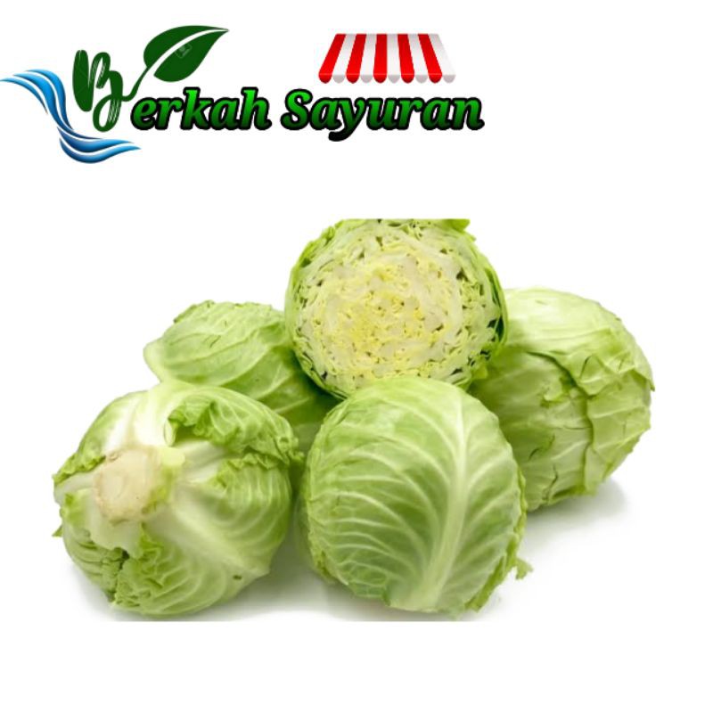 

sayur kubis/gobes