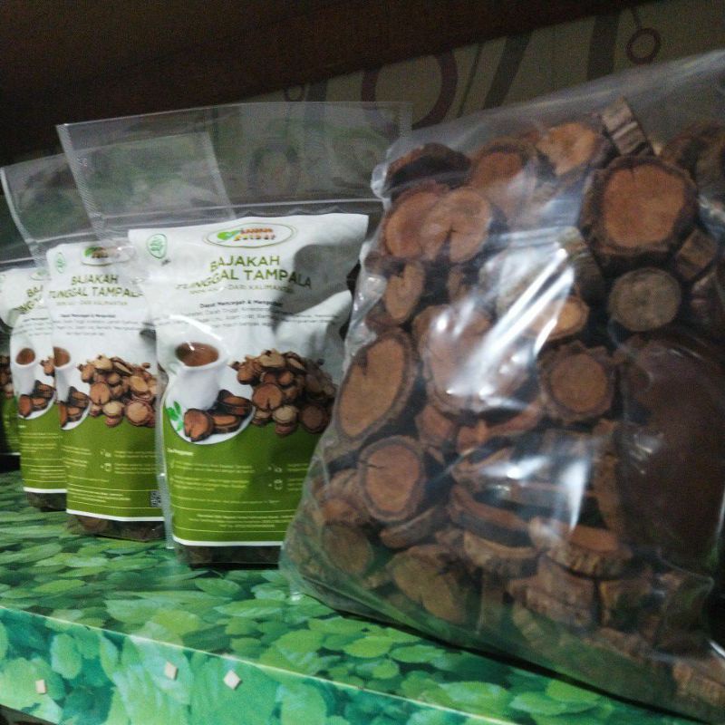 BAJAKAH, AKAR KAYU BAJAKAH TUNGGAL SUPER ASLI KALIMANTAN