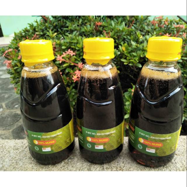 

Madu hutan jambi