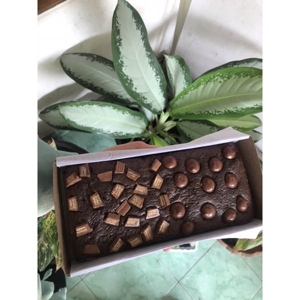 

Brownies panggang medium