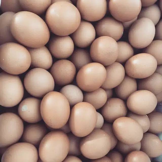 

Telur kemasan 1kg