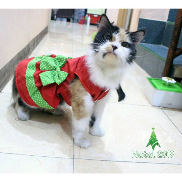 Dress lucu untuk kucing dan anjing edisi natal 2019 /baju kucing murah size S-XL