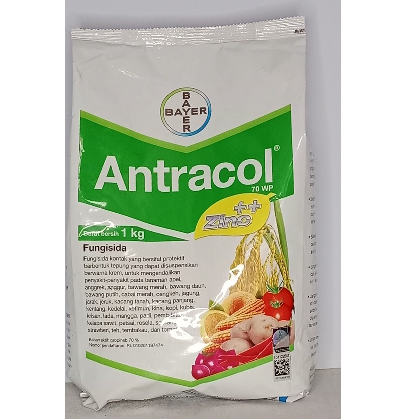 Fungisida Antracol 1 Kg