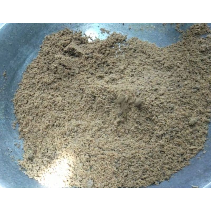 

Abon Ikan Laut