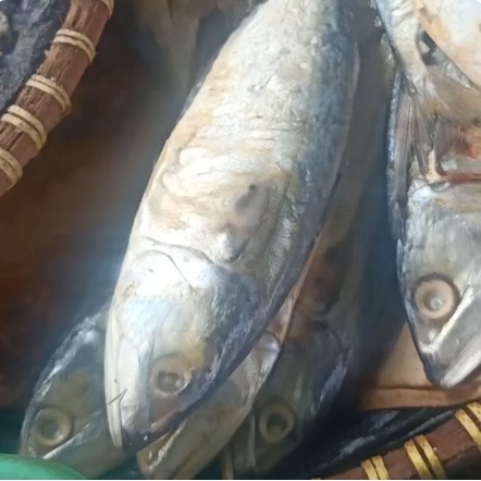 

Ikan Asin Peda Putih - Peda Banjar 100 Gram