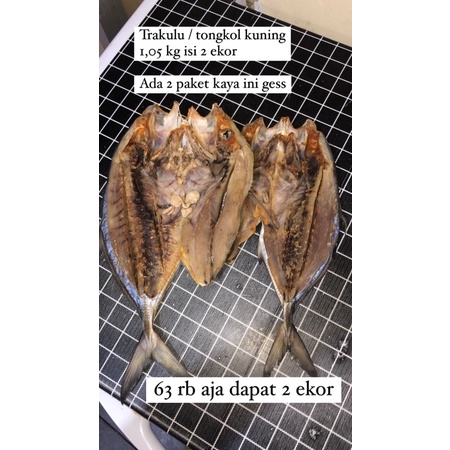 trakulu atau tongkol kuning