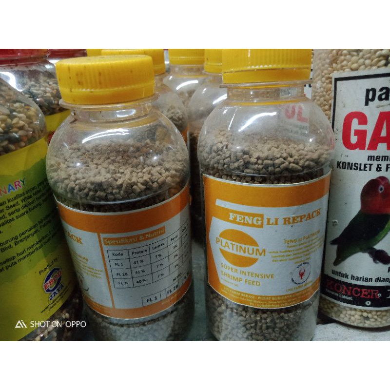 Feng Li pakan udang, lobster, udang konsumsi, udang hias