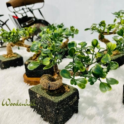 Furniture hiasan rangkaian bunga bonsai daun semanggi plastik artifisial, unik , lucu dan klasik, penghias ruangan serbaguna