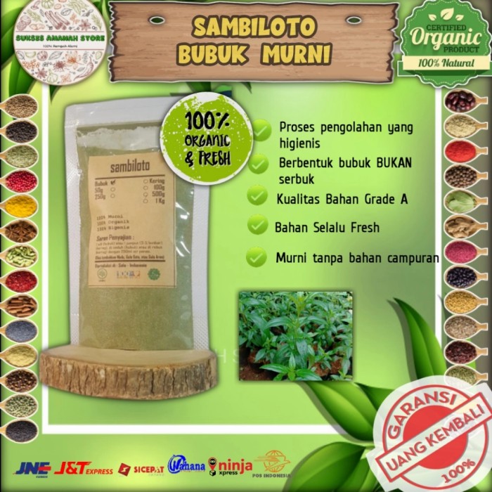 

Sambiloto Bubuk Murni Sambiroto 1 kg Rempah Andrographis Paniculat